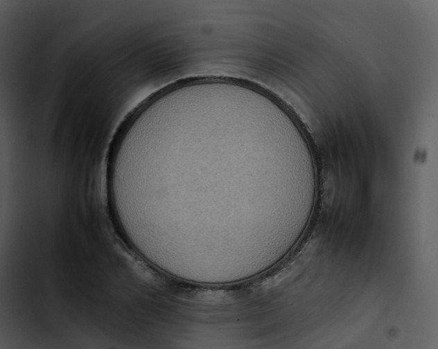 X0000102860982200809081302