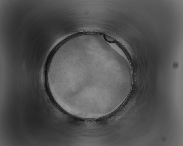 X0000102860983200809081302