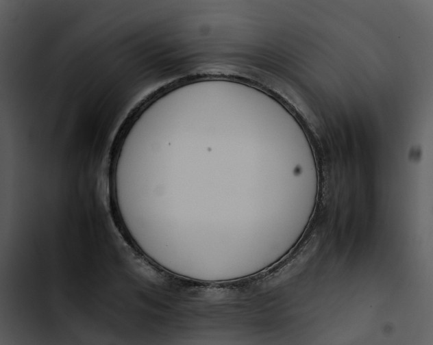 X0000102860984200809081302