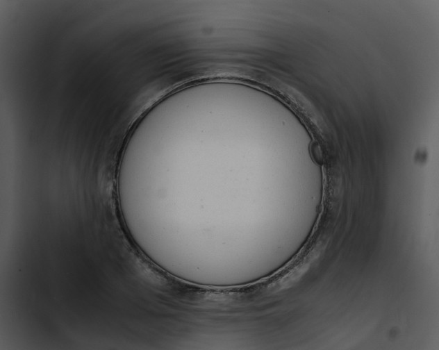 X0000102860985200809081302