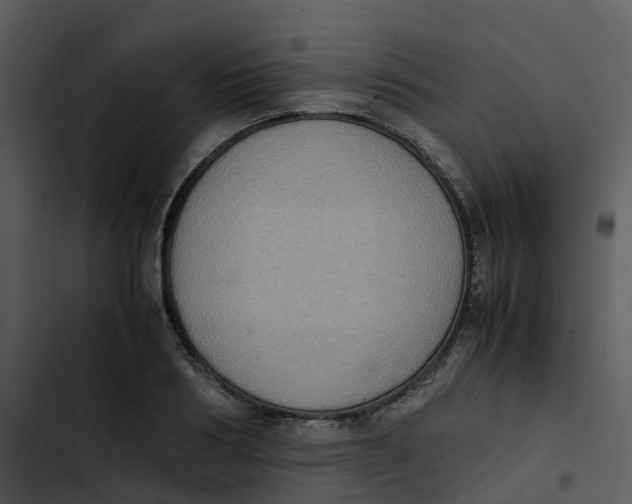 X0000102860986200809081302