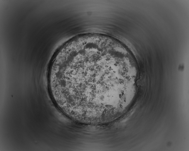 X0000102860987200809081302