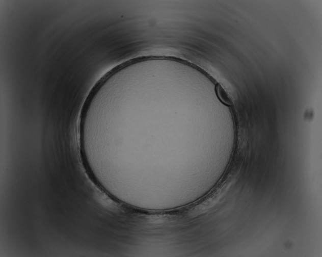 X0000102860988200809081302