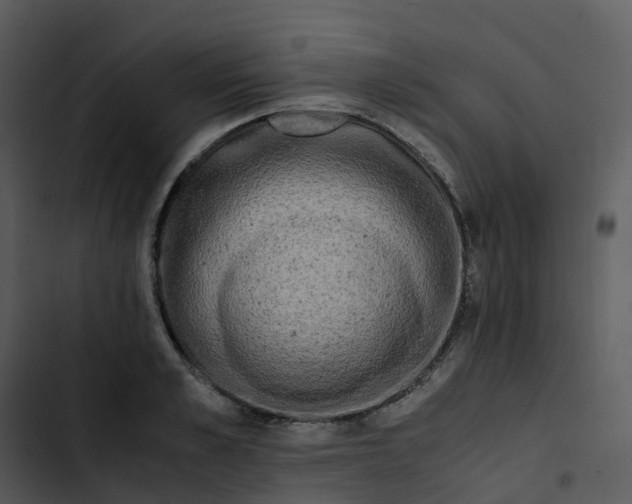 X0000102860989200809081302