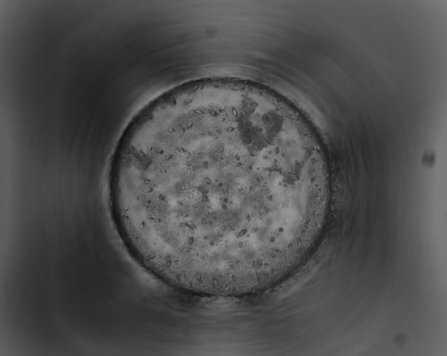 X0000102860991200809081302