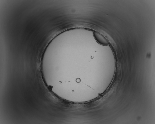 X0000102860993200809081302