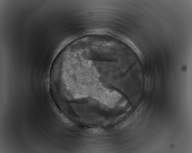 X0000102860994200809081302