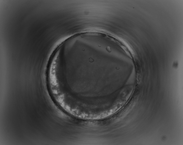 X0000102860995200809081302