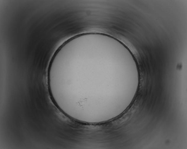 X0000102860996200809081302