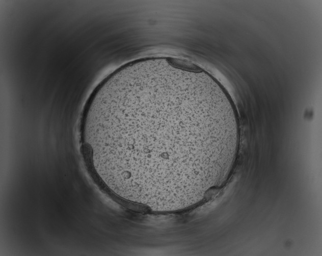 X0000102860997200809081302