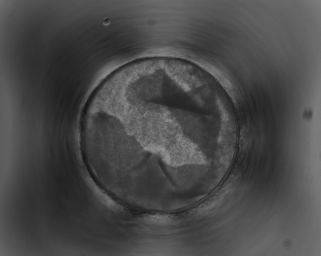 X0000102860998200809081302