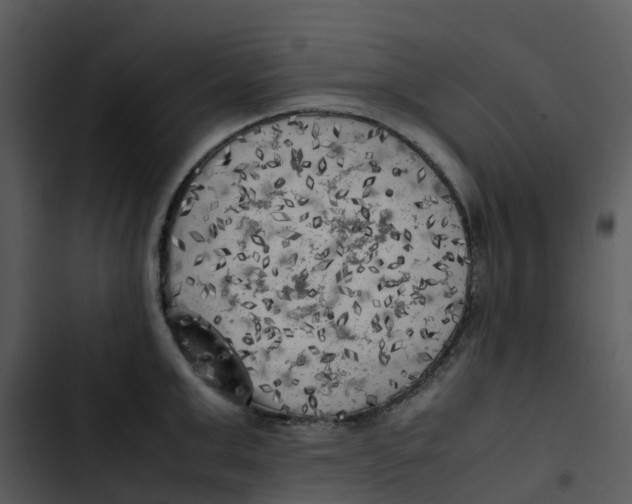 X0000102860999200809081302