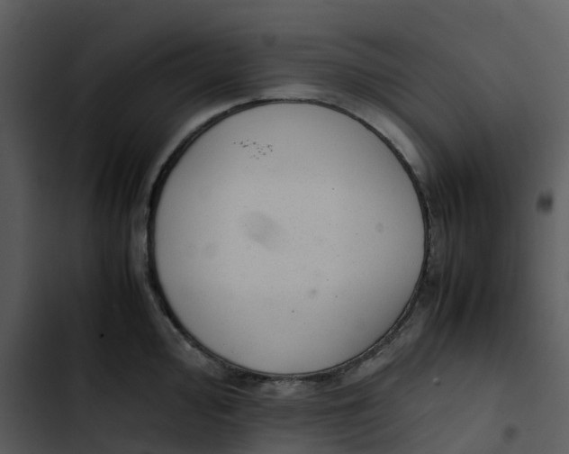 X0000102861000200809081302