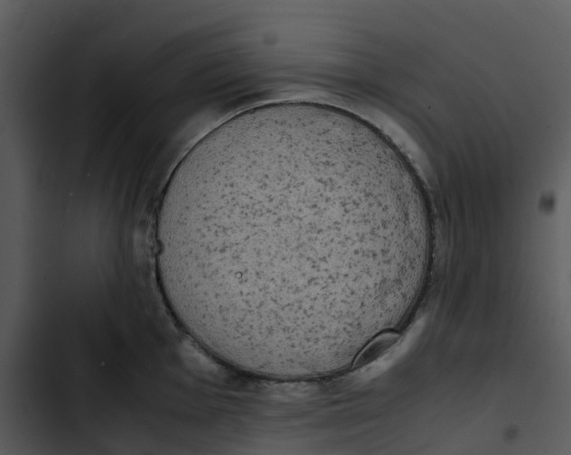 X0000102861001200809081302