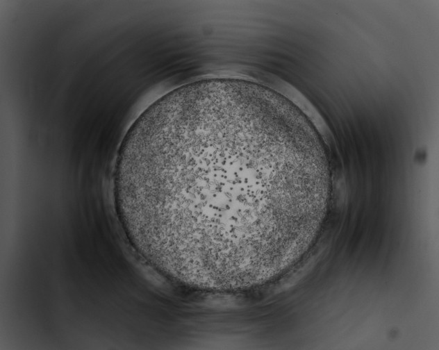 X0000102861002200809081302