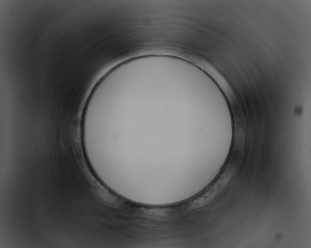 X0000102861004200809081302