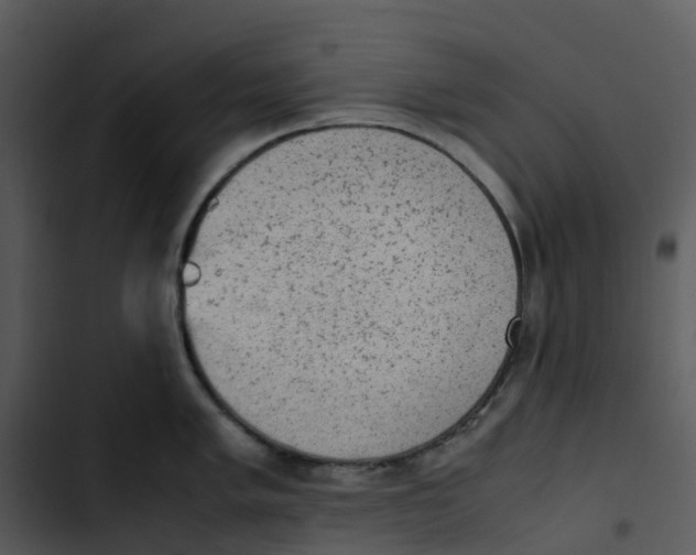 X0000102861005200809081302