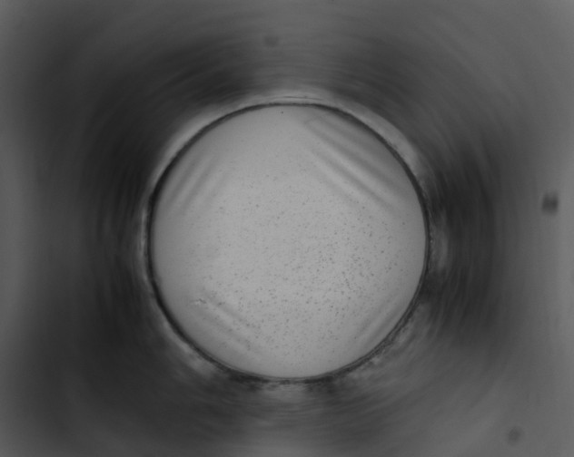 X0000102861006200809081302