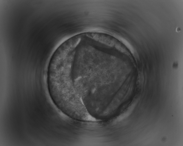 X0000102861007200809081302