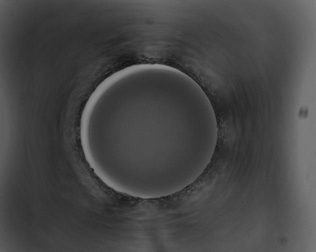 X0000102861009200809081301