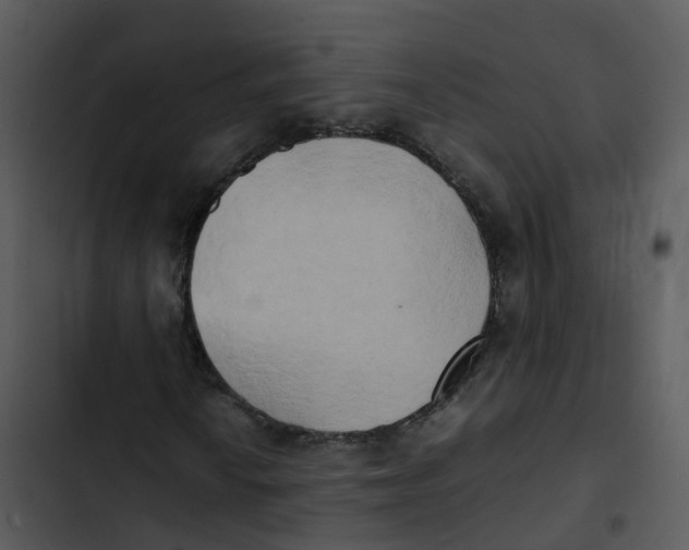 X0000102861010200809081301