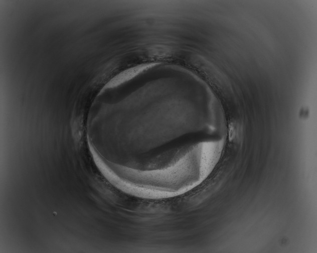 X0000102861011200809081301