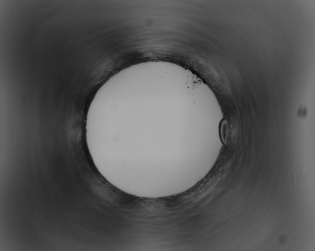 X0000102861012200809081301