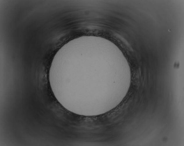 X0000102861013200809081301