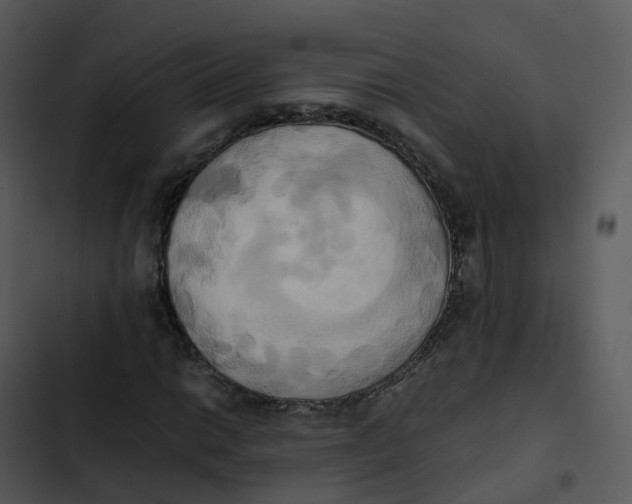 X0000102861014200809081301