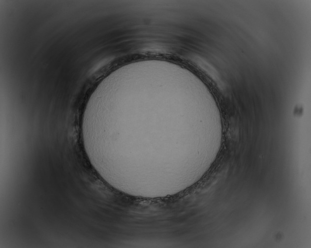 X0000102861015200809081301