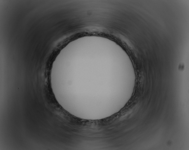 X0000102861016200809081301