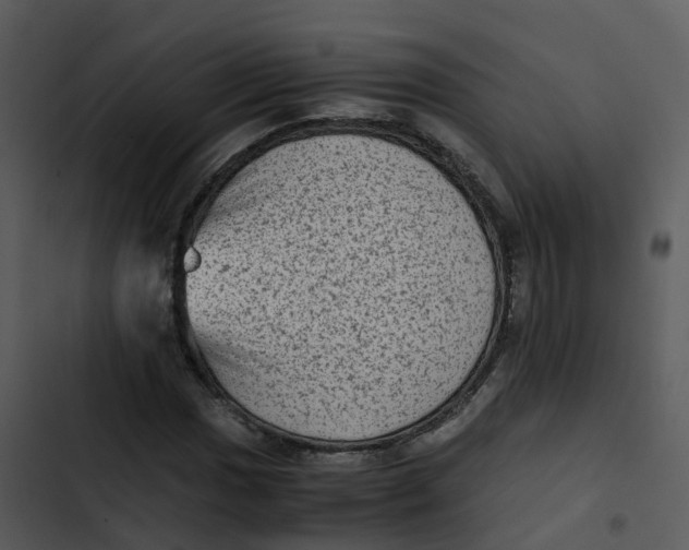 X0000102861017200809081301