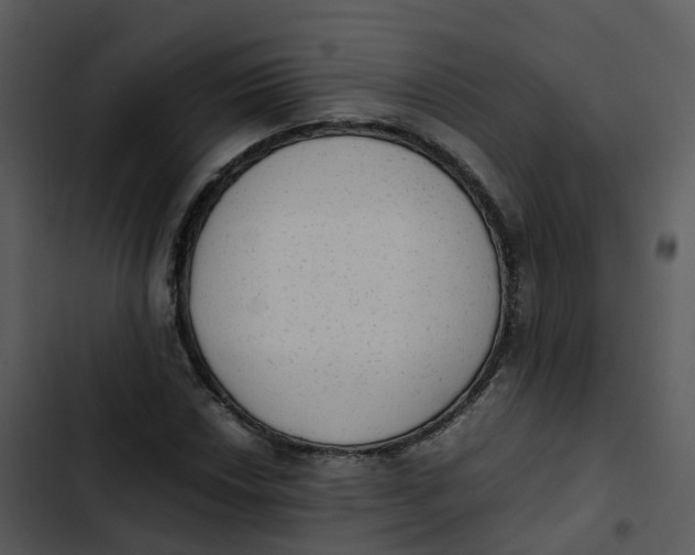 X0000102861018200809081301