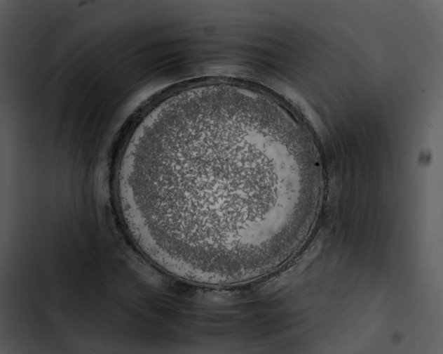 X0000102861019200809081301