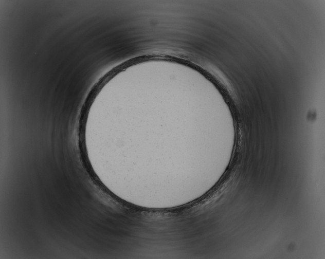 X0000102861020200809081301