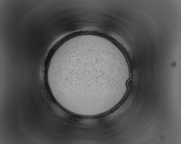 X0000102861021200809081301