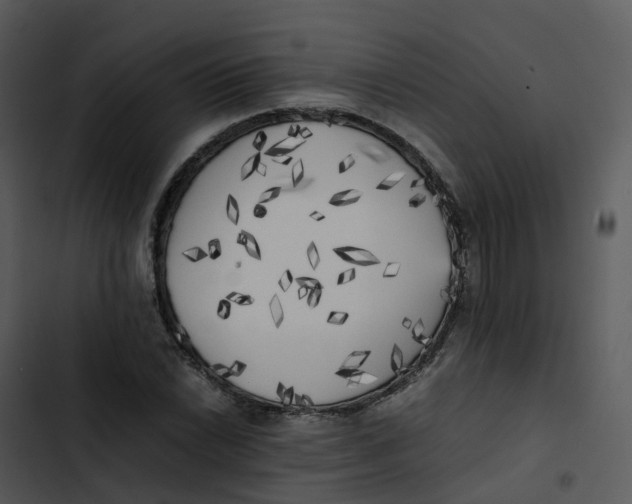 X0000102861022200809081301