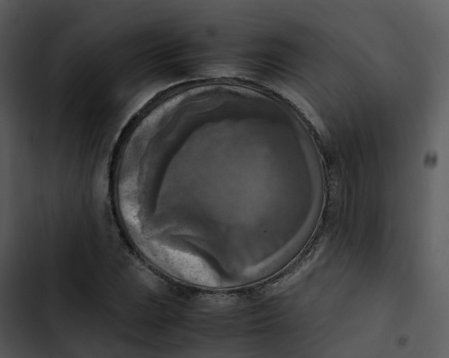 X0000102861023200809081301