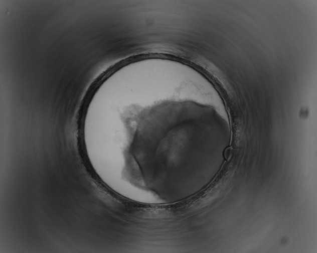 X0000102861024200809081301