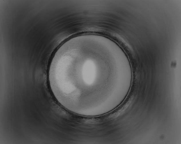 X0000102861025200809081301