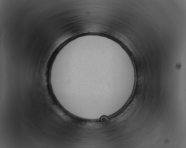 X0000102861026200809081301