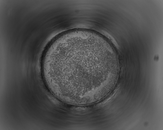 X0000102861027200809081301