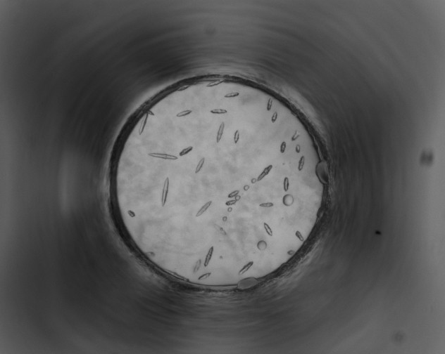 X0000102861028200809081301