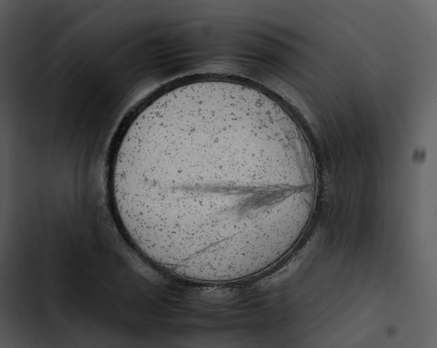 X0000102861029200809081301