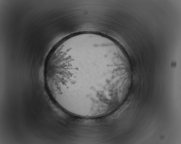 X0000102861030200809081302