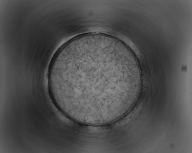 X0000102861032200809081302