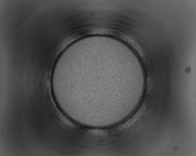 X0000102861033200809081302