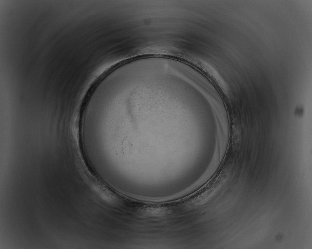 X0000102861035200809081302