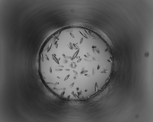 X0000102861036200809081302