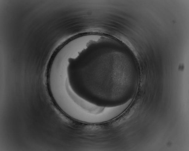 X0000102861037200809081302